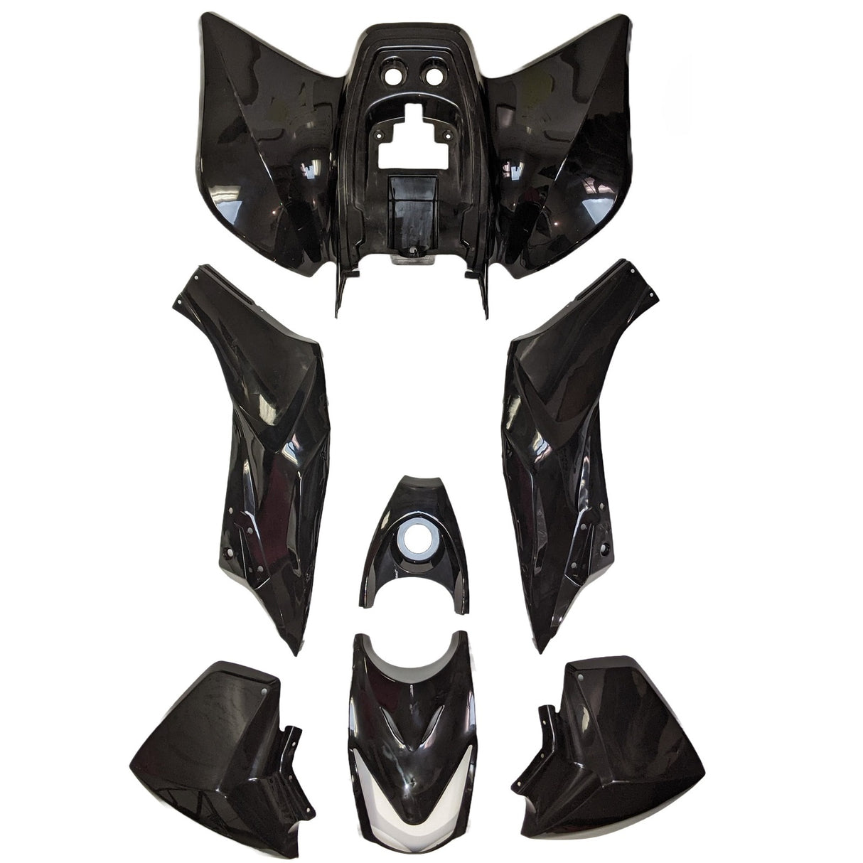 ATV Plastic Body Panels Fender Taotao ATA110H Coolster ATV-3125A 110cc 125cc - BLACK