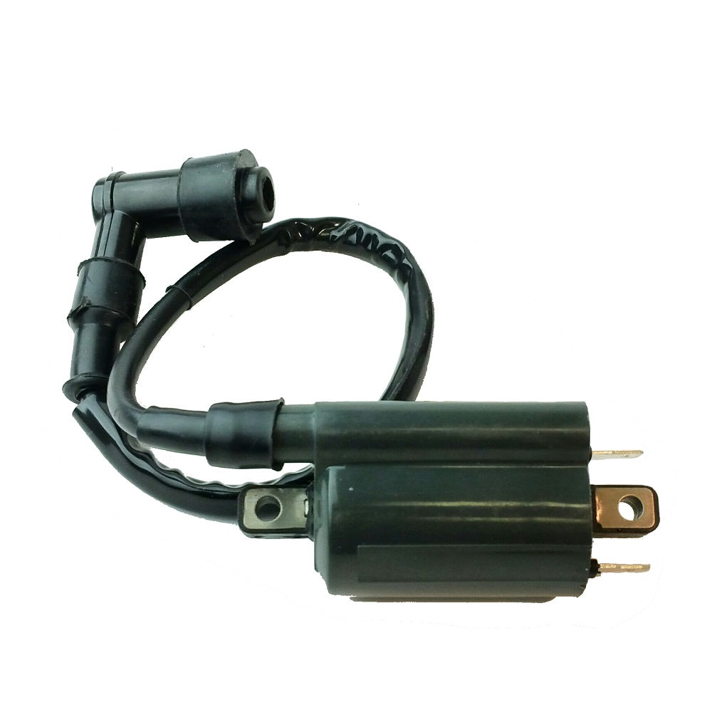 Ignition Coil for Yamaha/Linhai 250cc-300cc Motor ATV, Moped Scooters