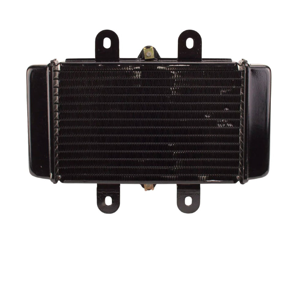 Radiator with Fan Assy for Scooter YYZX25025006 250cc Jonway YY250T Roketa MC-54-250cc New Style
