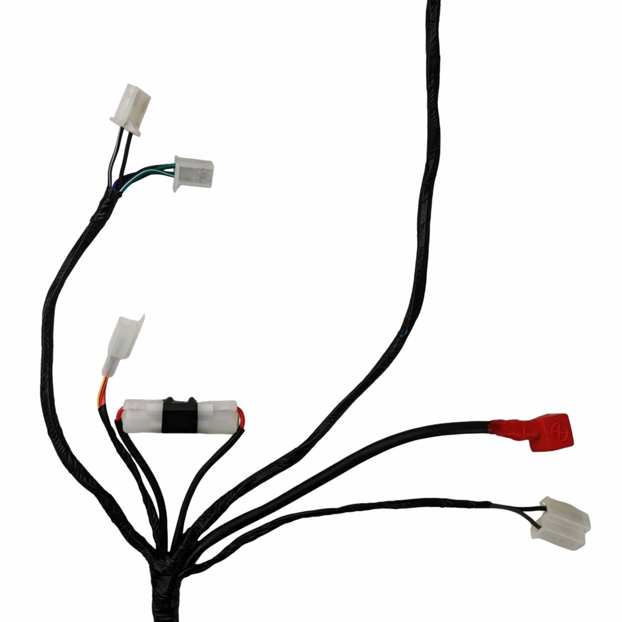 Wire Harness for Hawk Raven 250 Carbureted