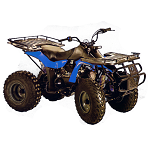 ATV-KAZUMA DINGO LACOSTE PANDA