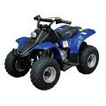 ATV-KAZUMA Meerkat