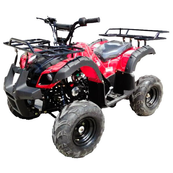 ATV-TAOTAO 110D 125D