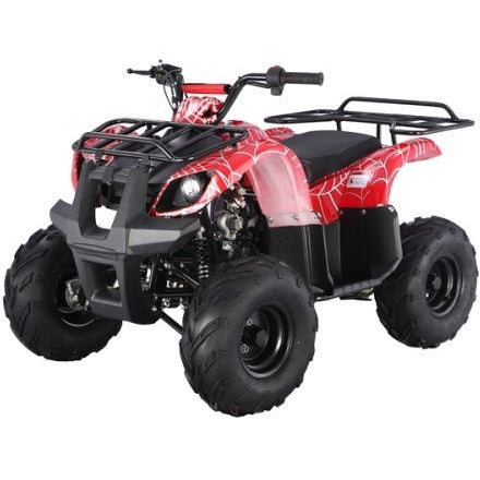 ATV - TaoTao 110D 125D