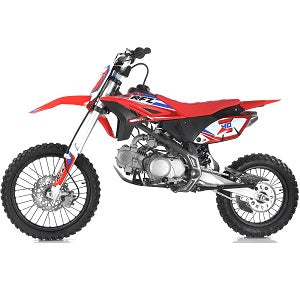 Dirt Bike - Cougar - Z40 MAX 140cc