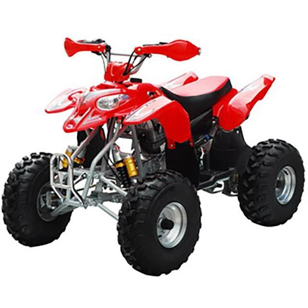 ATV Complete Plastic Body Fender Assembly for Panther 110PL, 125PL, Coolster 3050B, TaoTao Ata110L