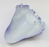 01 - Front Fender - BLUE