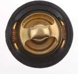 Thermostat Switch Replacement for Elite 250cc Helix CF250cc CH250cc Water Cooled ATV Go Kart Moped Scooter