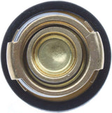Thermostat Switch Replacement for Elite 250cc Helix CF250cc CH250cc Water Cooled ATV Go Kart Moped Scooter