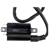 Ignition Coil for Tank 200 Yamaha/Linhai 250cc-300cc Motor ATV Scooters