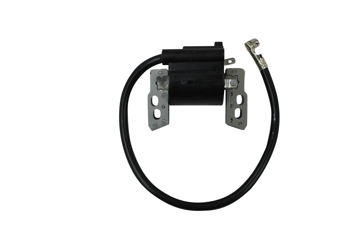 Ignition Coil, Briggs & Stratton, 695711 802574 493237 796964 492416,