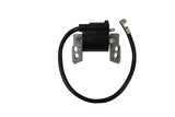 Ignition Coil, Briggs & Stratton, 695711 802574 493237 796964 492416,