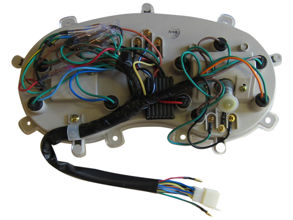 Speedometer Assembly