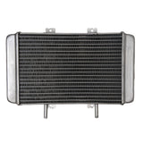 Radiator for Buyang Feishen 300cc Atv Quad