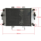 Radiator for Buyang Feishen 300cc Atv Quad