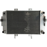 Radiator for Buyang Feishen 300cc Atv Quad