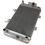 Radiator for Buyang Feishen 300cc Atv Quad