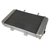 Radiator for Buyang Feishen 300cc Atv Quad