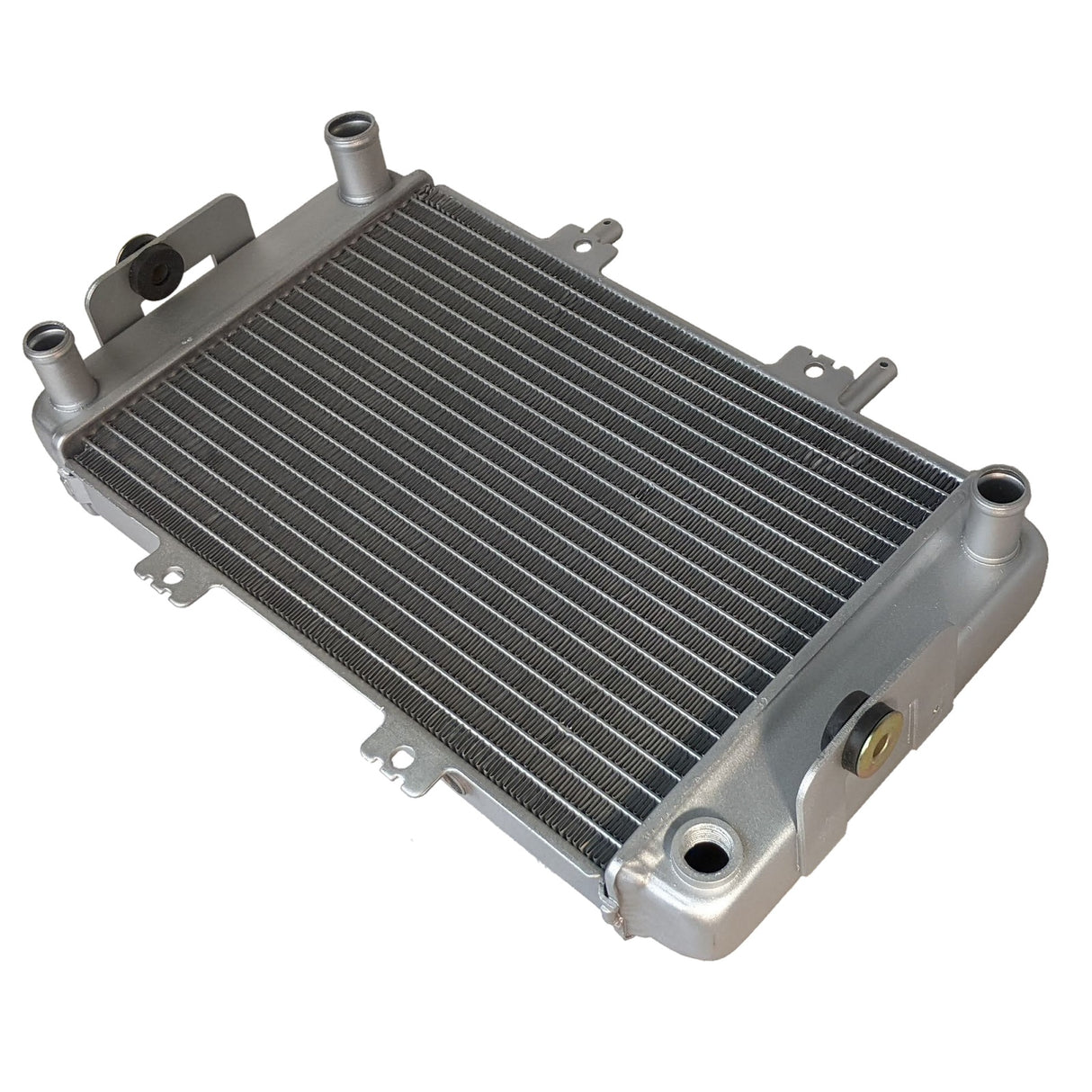 Radiator for Buyang Feishen 300cc Atv Quad