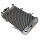 Radiator for Buyang Feishen 300cc Atv Quad