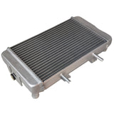 Radiator for Buyang Feishen 300cc Atv Quad