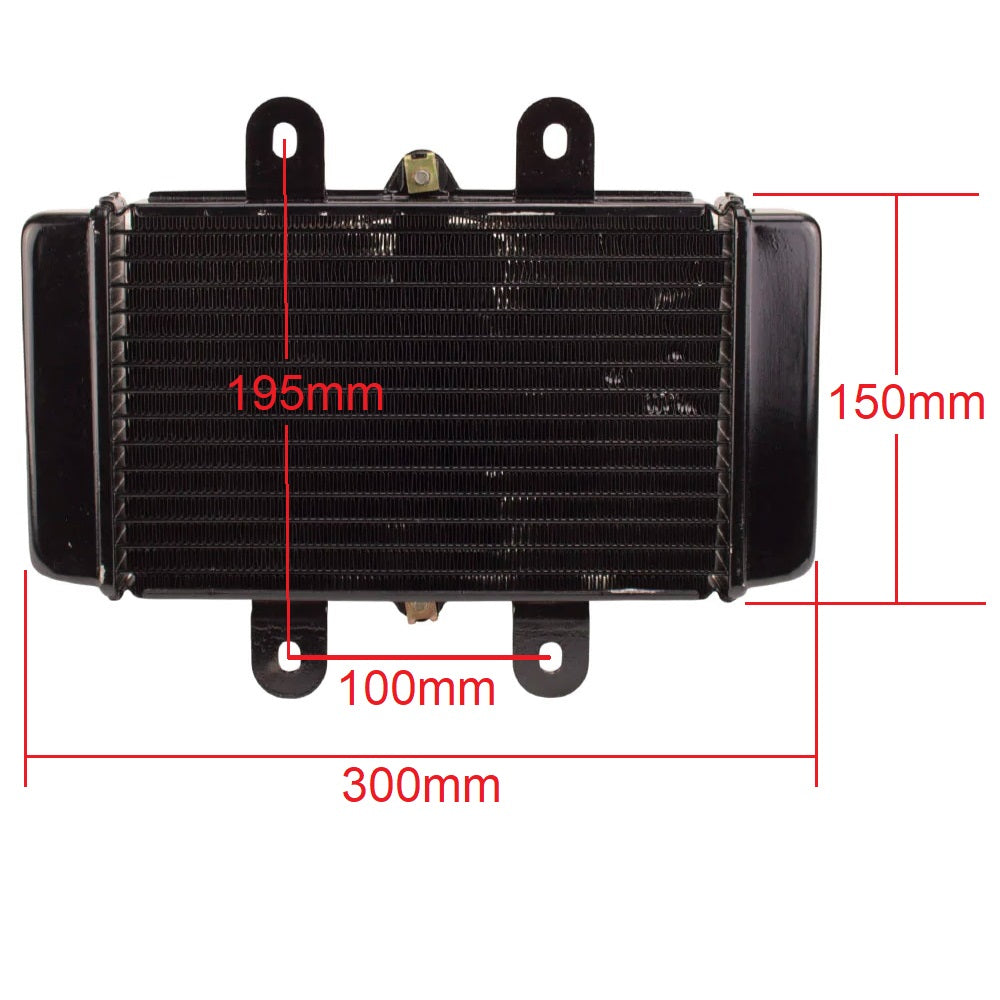 Radiator with Fan Assy for Scooter YYZX25025006 250cc Jonway YY250T Roketa MC-54-250cc New Style