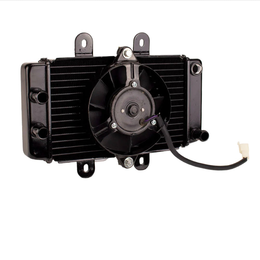Radiator with Fan Assy for Scooter YYZX25025006 250cc Jonway YY250T Roketa MC-54-250cc New Style