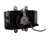 Radiator with Fan Assy for Scooter YYZX25025006 250cc Jonway YY250T Roketa MC-54-250cc New Style