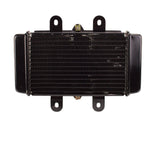 Radiator with Fan Assy for Scooter YYZX25025006 250cc Jonway YY250T Roketa MC-54-250cc New Style