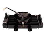 Radiator with Fan Assy for Scooter YYZX25025006 250cc Jonway YY250T Roketa MC-54-250cc New Style