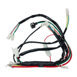 WIRING HARNESS for 50cc- 90cc,110cc, 25cc Chinese pit dirt bike Electric start