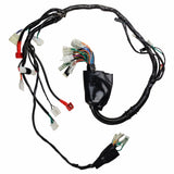 Wire Harness for Hawk Raven 250 Carbureted