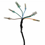 Wire Harness for Hawk Raven 250 Carbureted