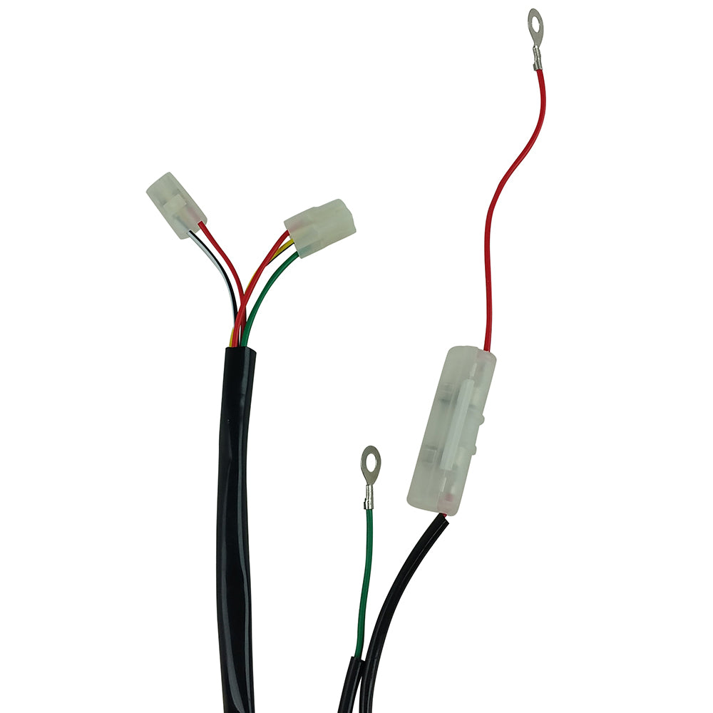 Wiring Harness, 150cc GY6 Engine